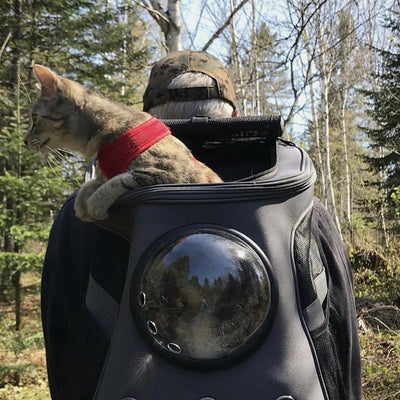 Spacious & Comfortable Cat Backpack