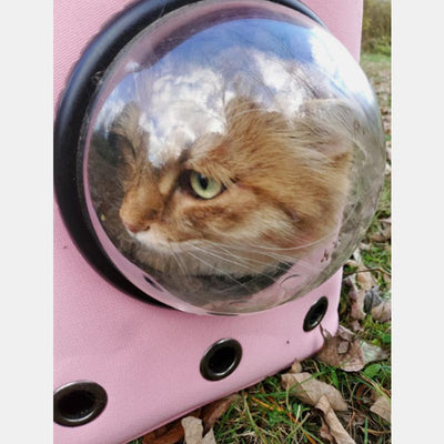 Spacious & Comfortable Cat Backpack