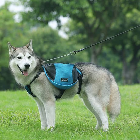 Outdoors Dog Backpack Y-Shaped Saddle Bag for Medium Large Dogs