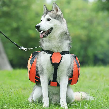 Outdoors Dog Backpack Y-Shaped Saddle Bag for Medium Large Dogs