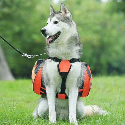 Outdoors Dog Backpack Y-Shaped Saddle Bag for Medium Large Dogs