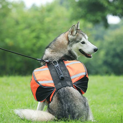 Outdoors Dog Backpack Y-Shaped Saddle Bag for Medium Large Dogs