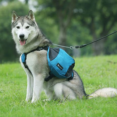 Outdoors Dog Backpack Y-Shaped Saddle Bag for Medium Large Dogs