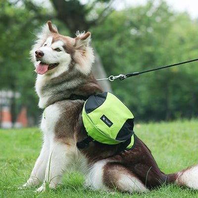 Outdoors Dog Backpack Y-Shaped Saddle Bag for Medium Large Dogs