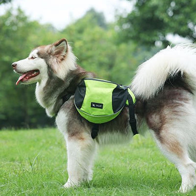 Outdoors Dog Backpack Y-Shaped Saddle Bag for Medium Large Dogs