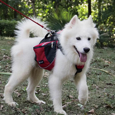 Outdoors Dog Backpack Y-Shaped Saddle Bag for Medium Large Dogs