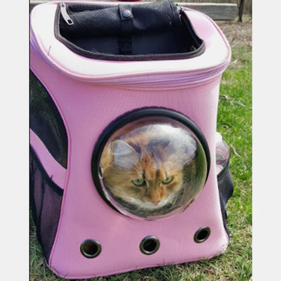 Spacious & Comfortable Cat Backpack
