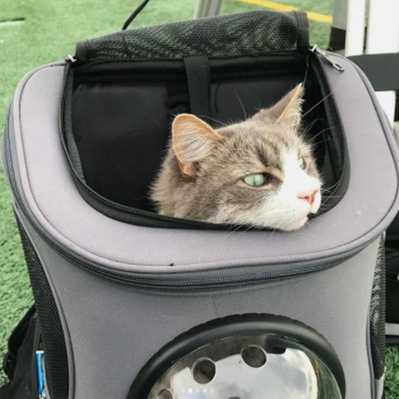 Spacious & Comfortable Cat Backpack