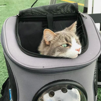 Spacious & Comfortable Cat Backpack