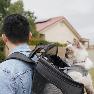 Spacious & Comfortable Cat Backpack