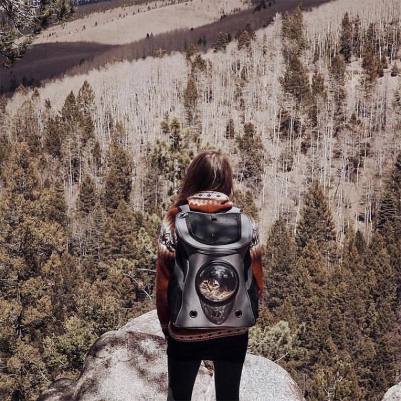 Spacious & Comfortable Cat Backpack