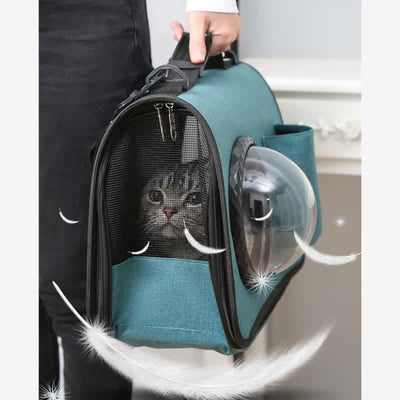 Pet Carrier for Small Dogs Cats Foldable Pet Travel Carrying Handbag