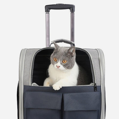 Portable Pet Carrier For Outdoor Large Breathable Oxford Cat Backpack