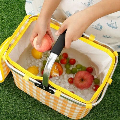 Cooler Bag For Outing Travel Thickened Aluminum Film Picnic Basket